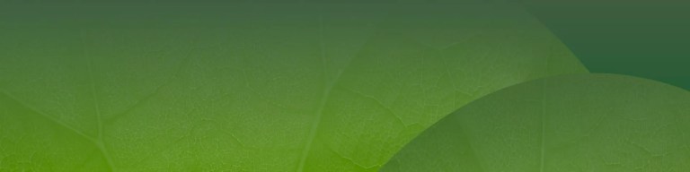 El Pacto Verde Europeo