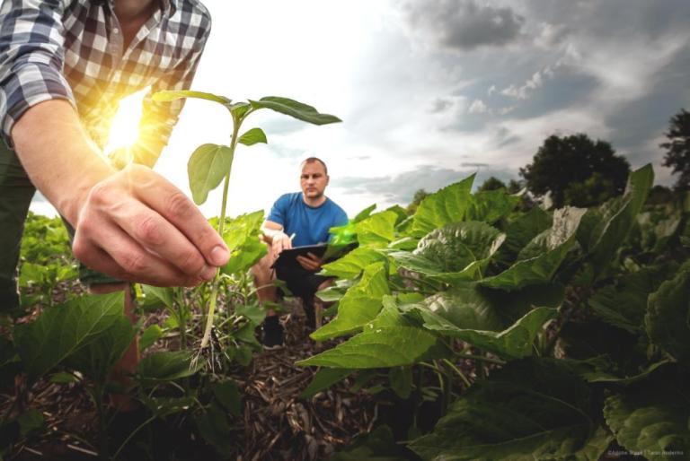 Garantizar el futuro de nuestros agricultores y nuestros alimentos