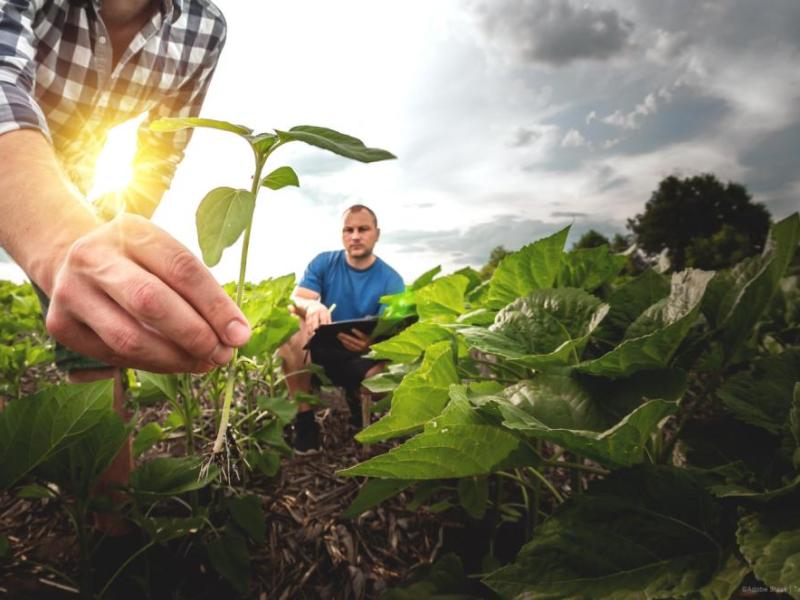 Garantizar el futuro de nuestros agricultores y nuestros alimentos