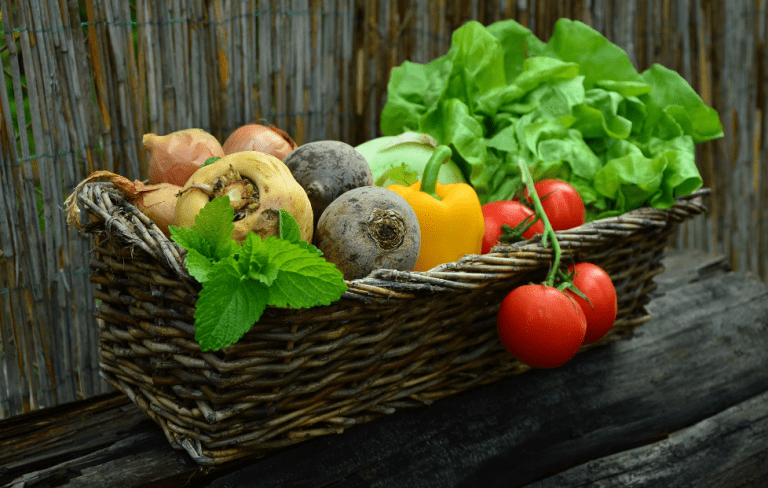 La superficie agraria ecológica se incrementó un 8 % y superó los 2,6 millones de hectáreas en 2021