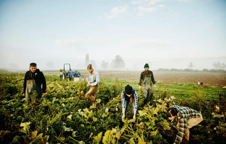 Innovación, transición verde y formación: ¿puede tu futuro estar en el campo?
