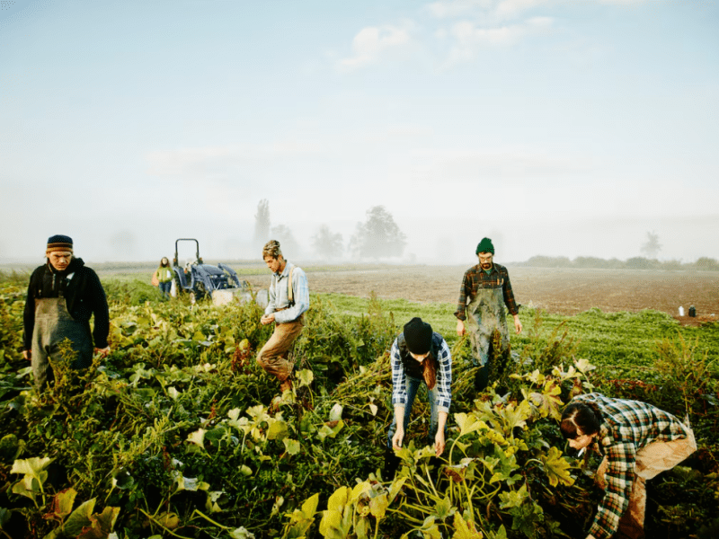 Innovación, transición verde y formación: ¿puede tu futuro estar en el campo?